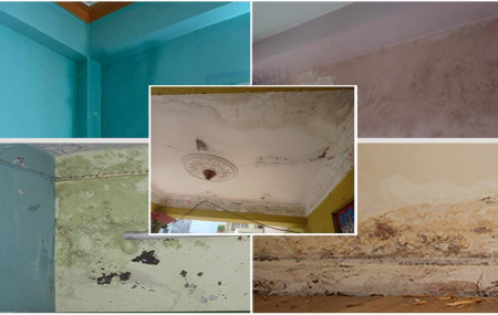 तस्बिर सौजन्यः स्किल सेवा